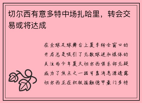 切尔西有意多特中场扎哈里，转会交易或将达成