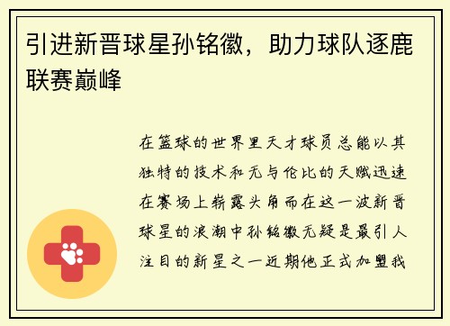 引进新晋球星孙铭徽，助力球队逐鹿联赛巅峰
