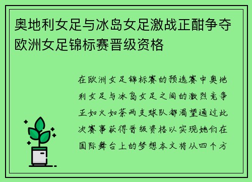 奥地利女足与冰岛女足激战正酣争夺欧洲女足锦标赛晋级资格